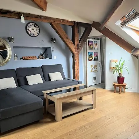 Apartment Le Boheme - Centre De - Belle Vue - Wifi